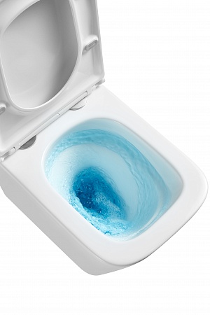 Подвесной унитаз безободковый Terminus Ватикан Monolit 490х340 белый Новочеркасск - фото 8