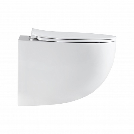 Подвесной унитаз безободковый Terminus Енисей Monolit 560х390 белый Новочеркасск - фото 4