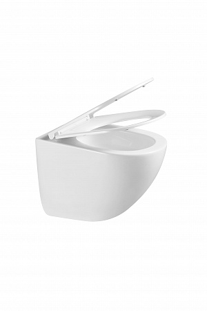 Подвесной унитаз безободковый Terminus Аврора Монолит 495х360 белый Новочеркасск - фото 8 Подвесной унитаз безободковый Terminus Аврора Монолит 495х360 белый Новочеркасск - фото 8