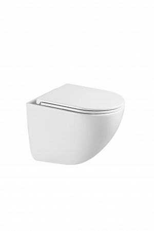 Подвесной унитаз безободковый Terminus Аврора Монолит 495х360 белый Новочеркасск - фото 4 Подвесной унитаз безободковый Terminus Аврора Монолит 495х360 белый Новочеркасск - фото 4