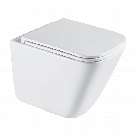 Подвесной унитаз безободковый Terminus Ватикан Monolit 490х340 белый Новочеркасск - фото 2