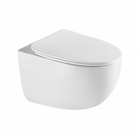 Подвесной унитаз безободковый Terminus Енисей Monolit 560х390 белый Новочеркасск - фото 2