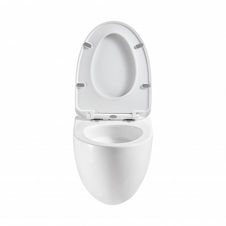 Подвесной унитаз безободковый Terminus Енисей Monolit 560х390 белый Новочеркасск - фото 5