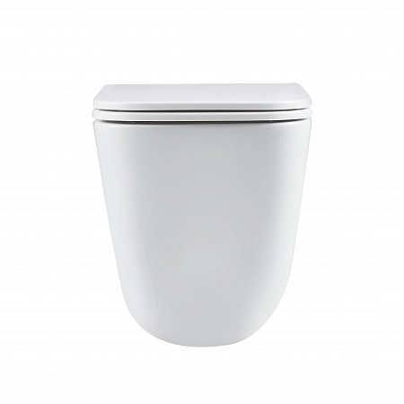 Подвесной унитаз безободковый Terminus Ватикан Monolit 490х340 белый Новочеркасск - фото 6