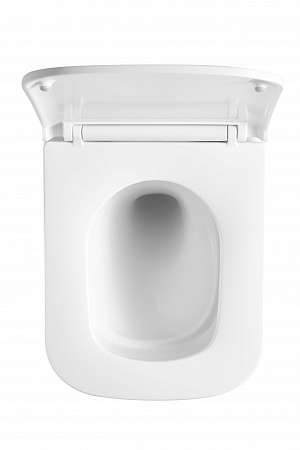 Подвесной унитаз безободковый Terminus Ватикан Monolit 490х340 белый Новочеркасск - фото 3